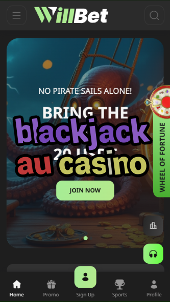 blackjack au casino-asdasdzhjkds.com